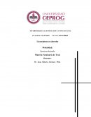 CAPÍTULO I. ANTECEDENTES DE LA INVESTIGACIÓN