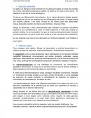 Estrategia empresarial Mango