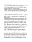 El Cluster de la flor holandesa