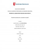 Marco teorico lunes sabado