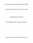 GUIA DE OBSERVACIÓN A LA ESCUELA PRIMARIA