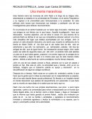 UNA MENTE BRILLANTE. Esta historia narra las vivencias de John Nash a lo largo de su trágica vida