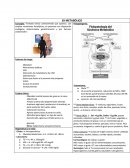 Sx Metabolico Cartel.