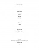 ORGANIZACIÓN TRABAJO ESCRITO