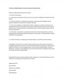 Procesos importantes del los recursos humanos