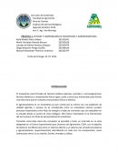 PRÁCTICA 1. ESTUDIO Y COMPARACIÓN DE ECOSISTEMAS Y AGROECOSISTEMAS