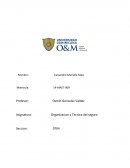 Organizacion y Tecnica del seguro