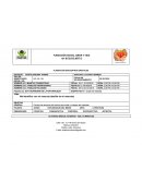 PLANEACIÓN ENCUENTROS GRUPALES