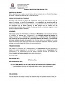 TRABAJO INVESTIGACIÓN GRUPAL (TIG).
