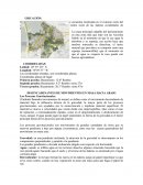 Geo.. rumbo y buzamiento.