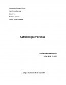 Asfixiologia Forense.