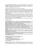 Manual de Usuario. Naval