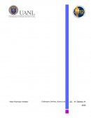 Diagrama representativo del ciclo del carbono.