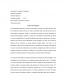 Ensayo Celdas de Hidrogeno