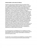 OPINION SOBRE LA RELACION DE TRABAJO..