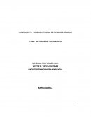FENÓMENOS DE LA CONTAMINACIÓN AMBIENTAL.