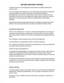 SISTEMA NERVIOSO CENTRAL. El sistema nervioso es el encargado del funcionamiento de distintos aparatos del cuerpo humano.