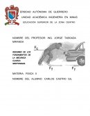 RESUMEN DE LOS FUNDAMENTOS DE LA MECANICA CLASICA NEWTONIANA.