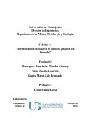 Identificación cualitativa de aniones. Análisis vía húmeda