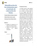Método de identificación de elementos por flama