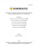 ESTUDIO DE LA VIABILIDAD DE EXPORTACION DE TEJIDO EN CROCHE CON FIGURAS PRECOLOMBINAS EN LA CIUDAD DE MIAMI