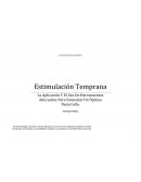 La Aplicación Y El Uso De Herramientas Adecuadas Para Fomentar Un Óptimo Desarrollo.