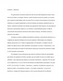 Lactancia y educación