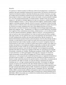 Practica 7 de microbiología