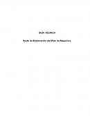 GUÍA TÉCNICA Pauta de Elaboración del Plan de Negocios