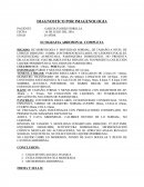 DIAGNOSTICO POR IMAGENOLOGIA.