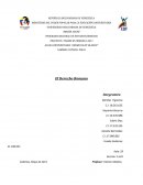 Sabiendo que El Derecho romano designa el ordenamiento jurídico que rigió a los ciudadanos de Roma en distintos sectores de su Imperio