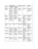 Desarrollo del niño 0-6 años