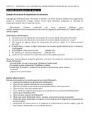 INFORME DE DESARROLLO DE MARCA 8-2