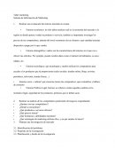 Taller marketing Sistema de Información de Marketing