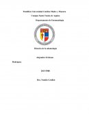 Historia de la dontologia