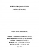 Modelos de Programación Lineal.
