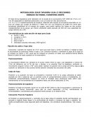 METODOLOGIA IZAJE TAPADERA CAJA (2 SECCIONES) DRENAJE DE FONDO, CHOMPIPES NORTE