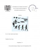 Biologia - GENERACIÓN ESPONTÁNEA.