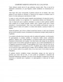 COMPORTAMIENTO DURANTE EL GALANTEO.