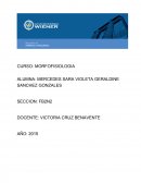 NEUROGASTROENTEROLOGIA