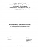 Manejo sostenible en animales de granja