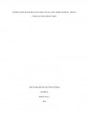 PRODUCCIÓN DE ENERGÍA ELÉCTRICA EN EL LMVE EMPLEANDO EL VIENTO COMO RECURSO RENOVABLE