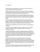 Ensayo “La observación”