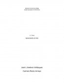 Ensayo descriptivo de la pintura Narcissus