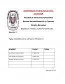 DESARROLLÓ DE UN NUEVO PRODUCTO.
