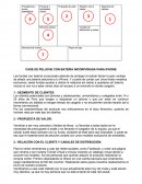 CASE DE PELUCHE CON BATERÍA INCORPORADA PARA iPHONE