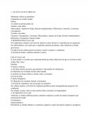 Células procariotas e eucariotas (gallego)_nivel 4º eso.