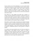 El signo en la cultura