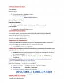 FASES DEL PROCESO DE CÓPULA