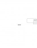 ANEXOS A INSTRUMENTO DE RECOLECCIÒN DE DATOS